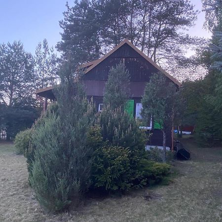 Вилла Dom Pod Sosnami Rzewnie Экстерьер фото